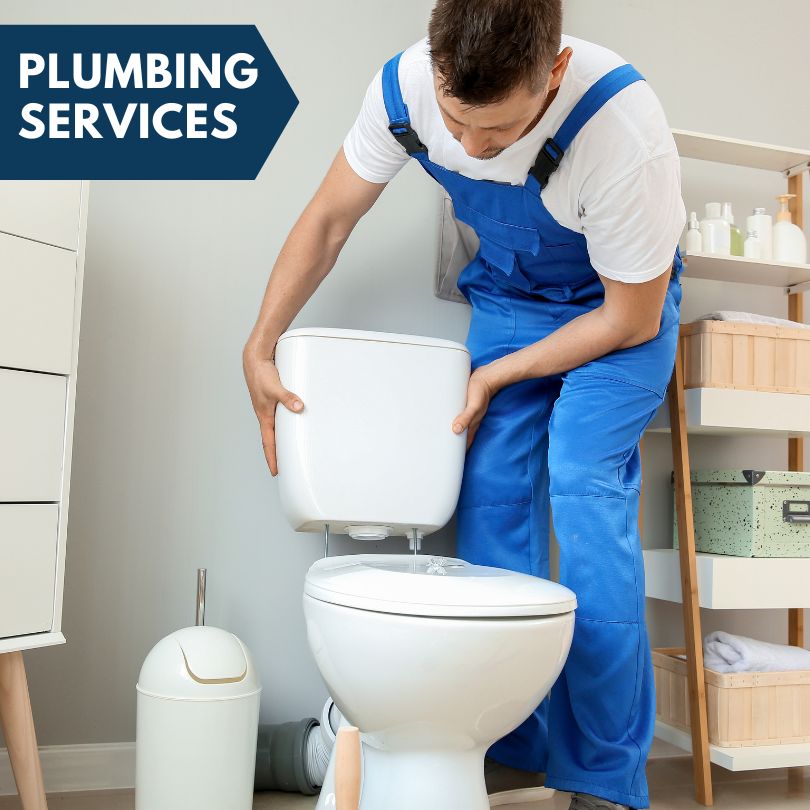 Plumbing Company in Paw Paw, MI